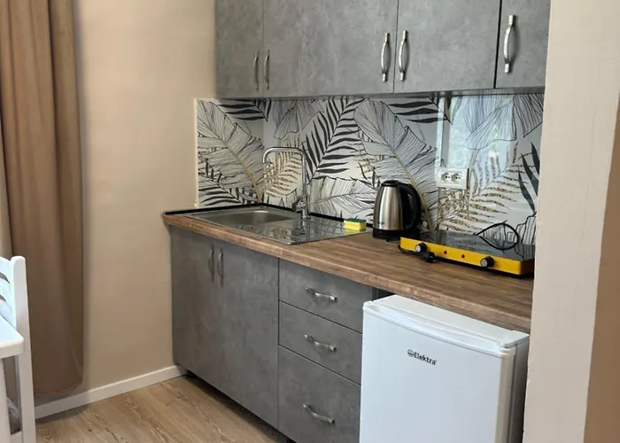 Bejart 6 * 地拉那